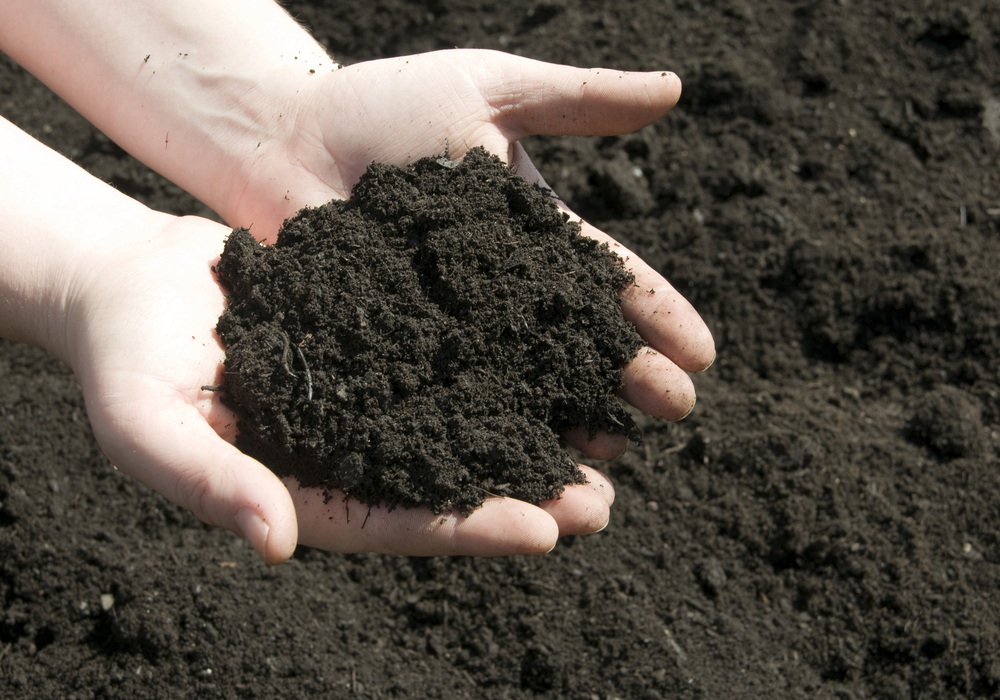 loamy soil types of soil agric science classnotesng