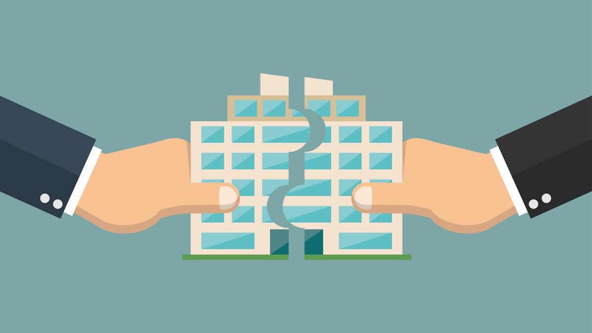 merger commerce classnotesng