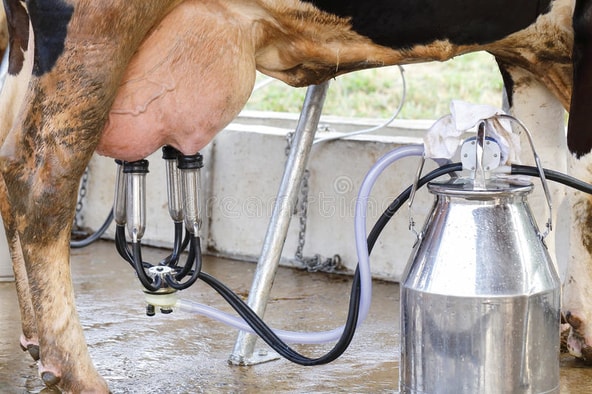 milking machine agric science classnotesng