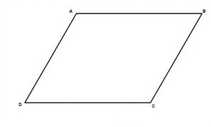 shape