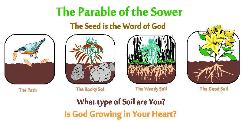 parable of the sower crs classnotesng