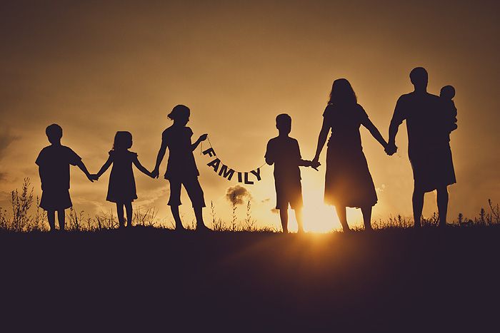 parenthood civic education classnotesng