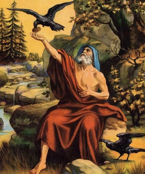 ravens feeding elijah crs classnotesng