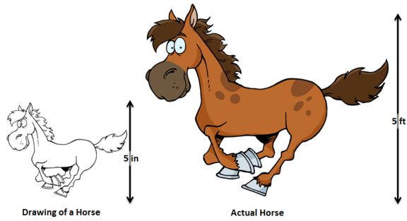 scaled drawing of horse maths classnotesng