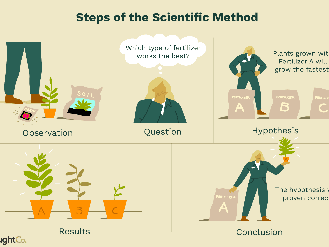 scientific method science and technlogy social studies classnotesng