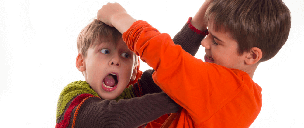 sibling conflicts home economics classnotesng