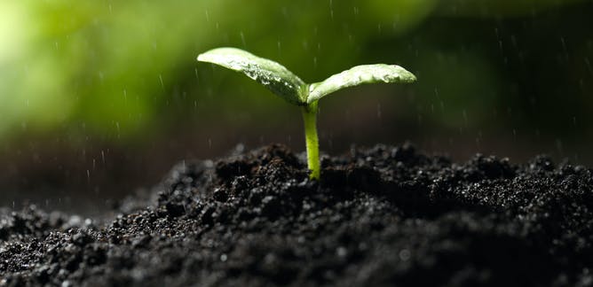 Soil Meaning In Hindi And English PELAJARAN