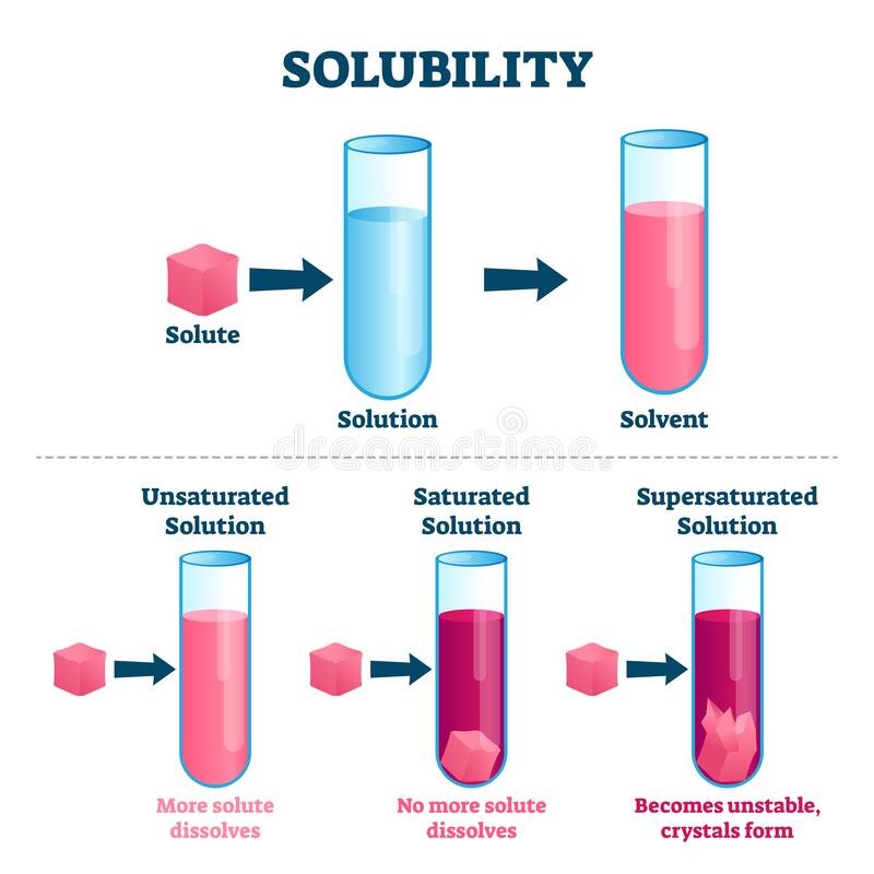 What Is Solubility In Science Brainly