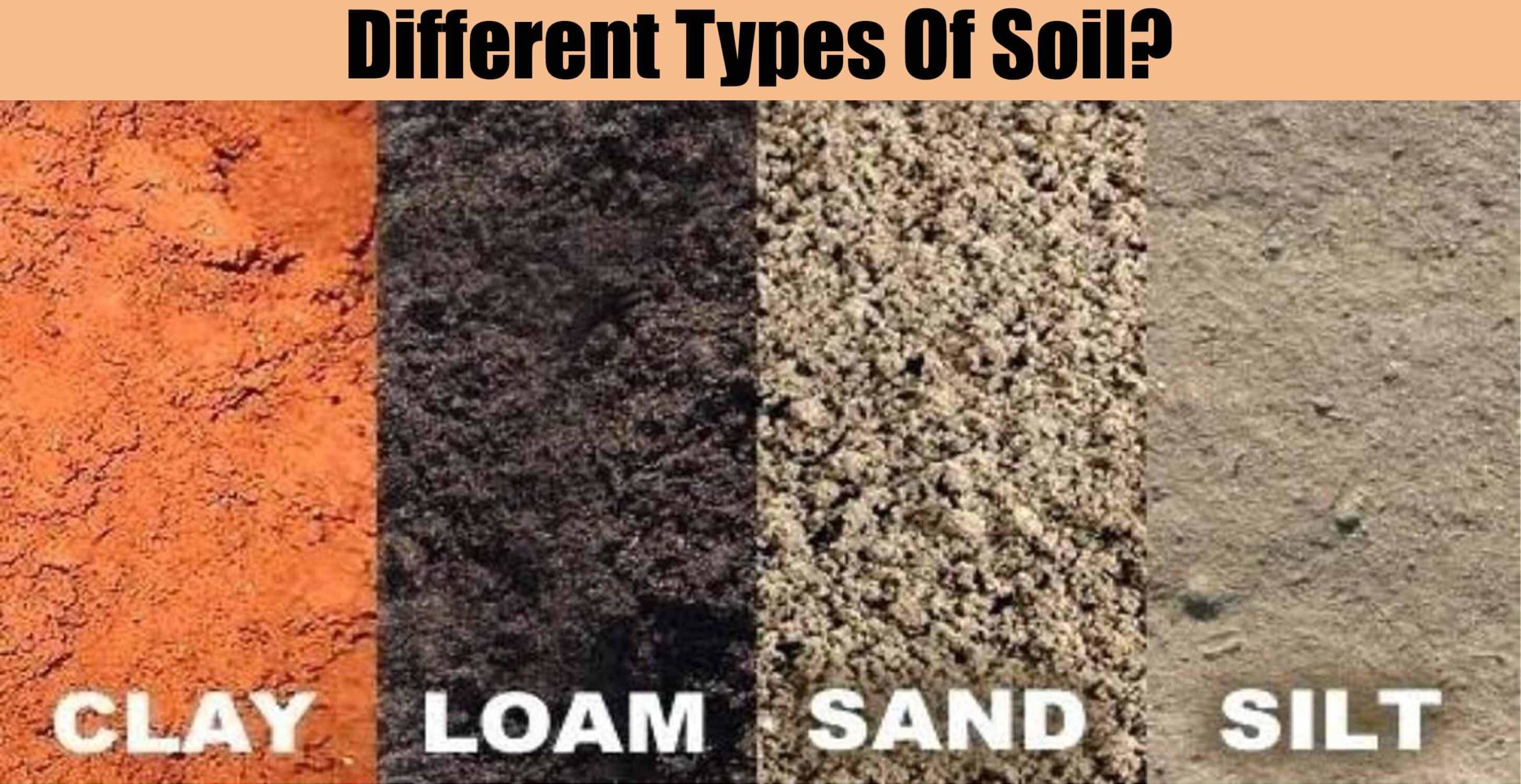 types of soil agric science classnotesng