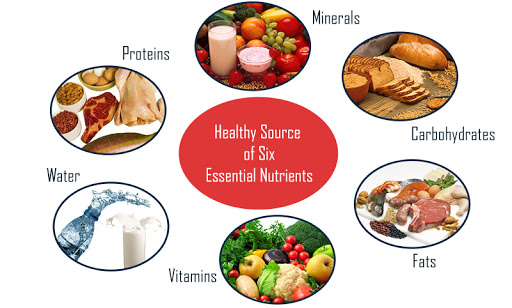 typesof food nutrients home econs classnotesng