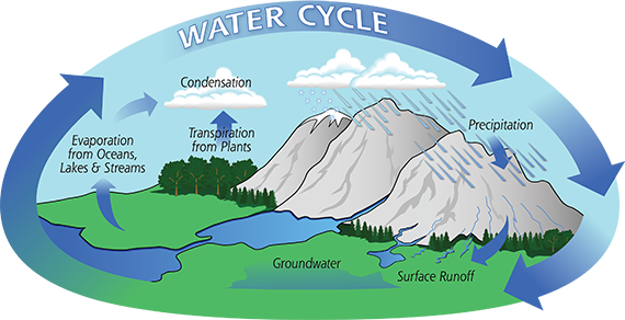 Water cycle classnotes.ng