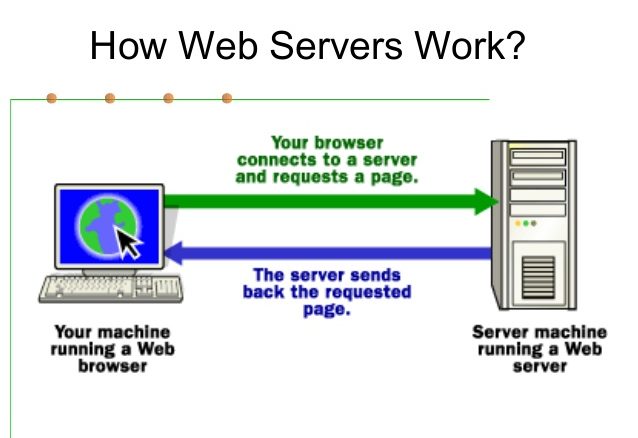 web servers The Internet computer science classnotesng