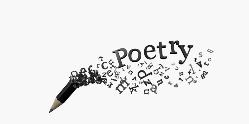 poetry classnotesng
