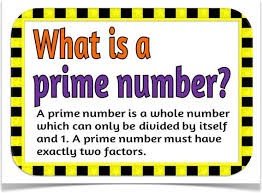 PRIME NUMBERS - ClassNotes.ng