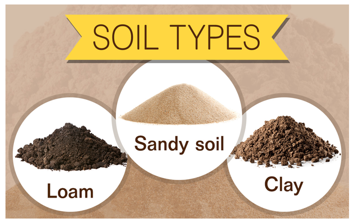 soil types classnotes.ng