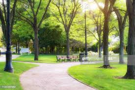 aaa
