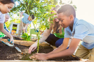 Activities During Planting