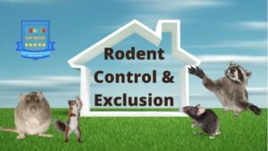 Farmers' Enemies: Methods Of Controlling Rodents, Birds And Crabs II
