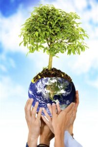 Soil | Source of Plants Growth and Nutrients