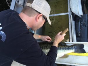 Why Record Measurements?
