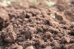 Why is Soil Important?
