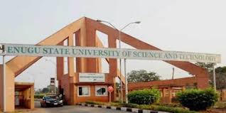 ESUT Postgraduate application form