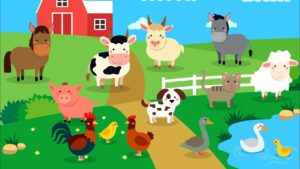 methods of  farm animal improvement