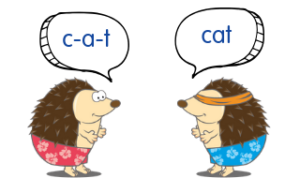 Phonological cat