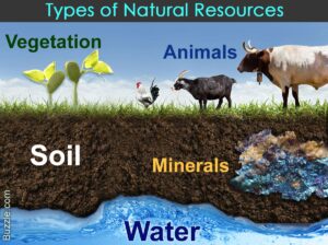 A Source of Resources
