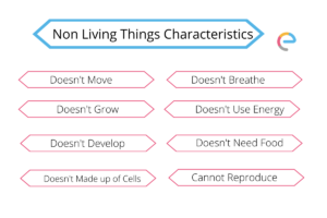 Characteristics of Non-Living Things