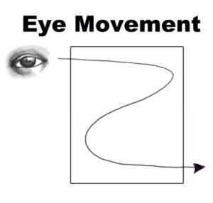 Eye Movement Adventure: Reading Left to Right and Top to Bottom 
