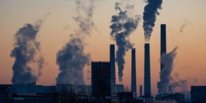 Harmful Effects on the Environment