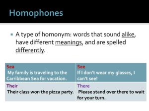 Synonyms and Antonyms