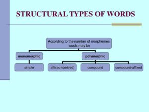 Spotting Structural Words and Verbs
