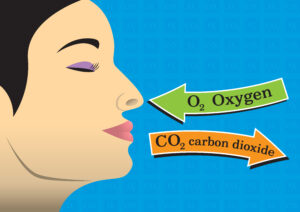 Importance of Air for Breathing