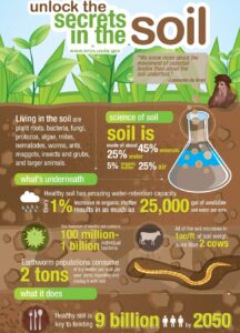 Importance of Soil for Other Animals
