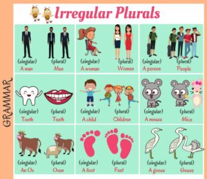 Irregular Plurals