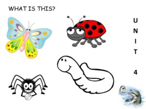 Living Things in the School