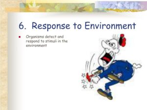 No Response to the Environment