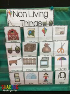 Non-Living Things in the Classroom
