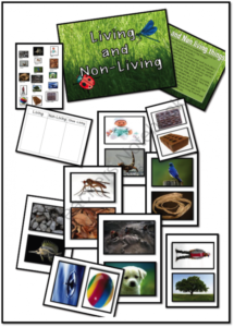 Non-Living Things in the School
