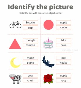 Object Identification