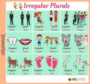Singular and Plural Forms: One and Many