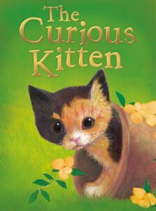 The Curious Kitten's Adventure