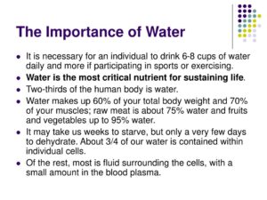 The Importance of Water
