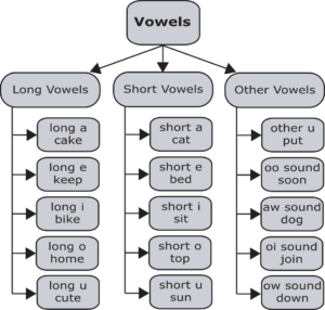 Understanding Vowels