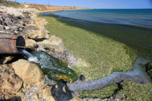 Substances That Contaminate Water
