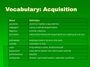 Vocabulary Acquisition 