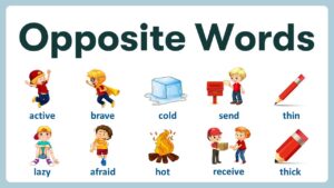 words and opposite