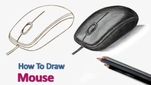 Drawing a Computer Mouse